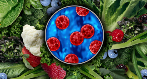 Ciclosporiasi, maxi-focolaio negli USA: oltre 9mila casi, sospetta la lattuga